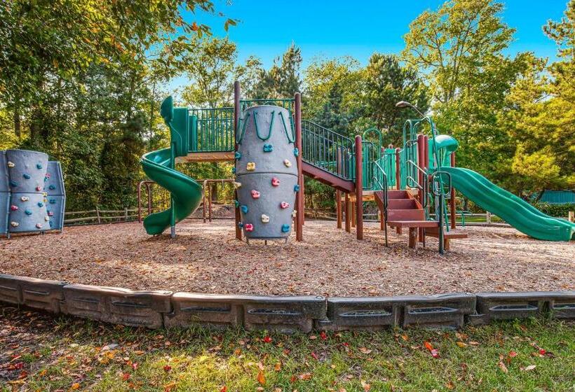 Апартаменты 3 Спальни, Sea Colony  14001 Tall Pines