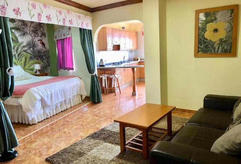 Апартаменты Superior 1 Спальня, Vv Apartamentos Estrella Del Norte