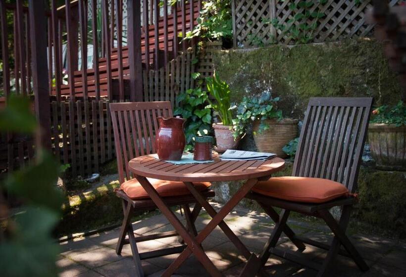 수피리어 룸, Calistoga Wine Way Inn