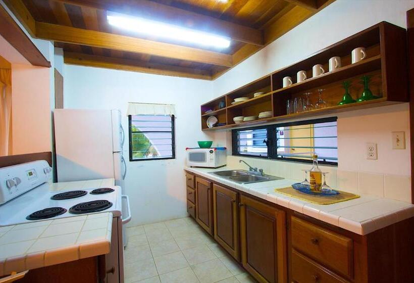 سوییت, Caribbean Villas