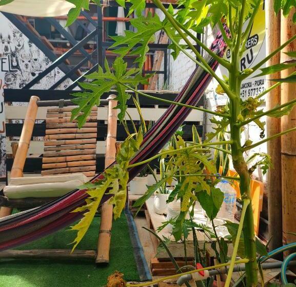 Номер Стандарт, Wally S House Mancora