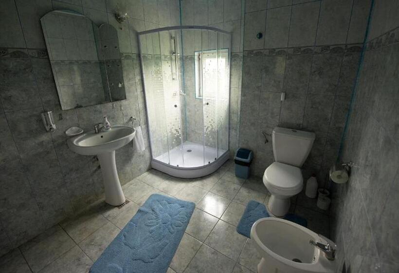 Standard room with outdoor bath, Pensiunea Tincu