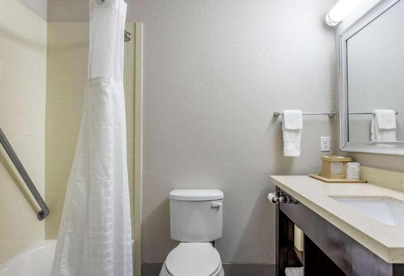 Люкс Кровать Кинг, Comfort Inn & Suites North Little Rock Jfk Blvd