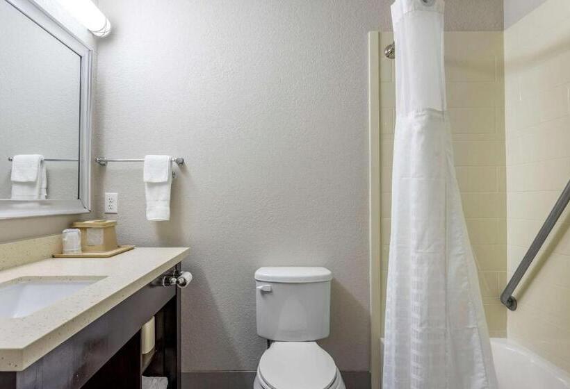 Номер Стандарт Кровать Кинг Адаптированный для Инвалидов, Comfort Inn & Suites North Little Rock Jfk Blvd