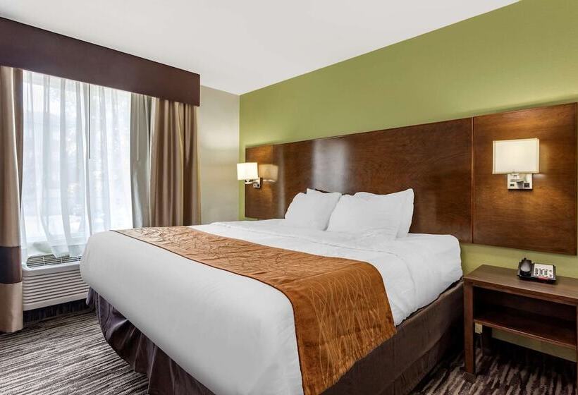 Люкс Адаптированный для Инвалидов, Comfort Inn & Suites North Little Rock Jfk Blvd