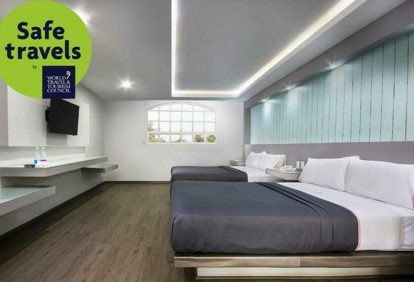 Habitación Comfort, Mx Congreso