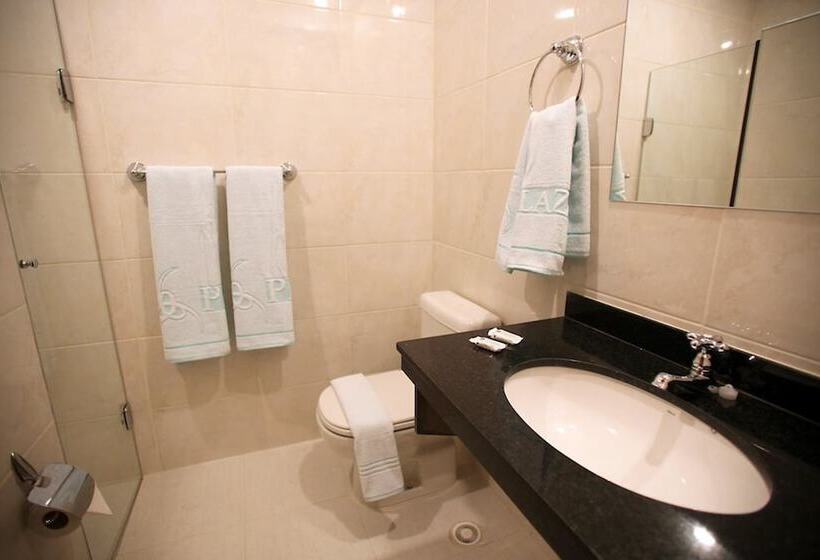 اتاق استاندارد با تخت دوبل, Soneca Plaza