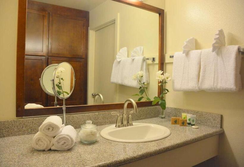 Номер Стандартный Кровать Куин, Surestay Plus Hotel By Best Western Gold Beach