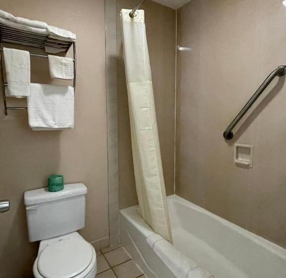 Номер Стандарт 2 Двуспальные Кровати, Garden Inn & Suites