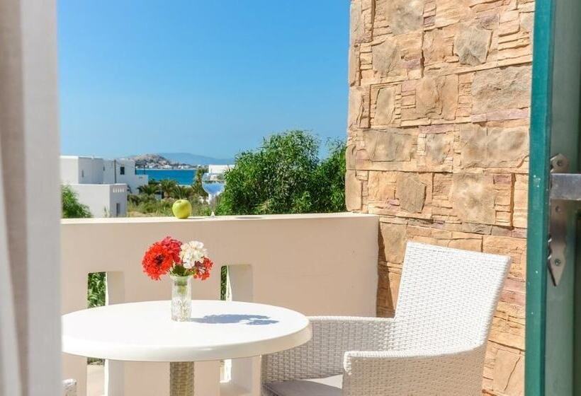 Студия Стандарт, Plaka Hotel I