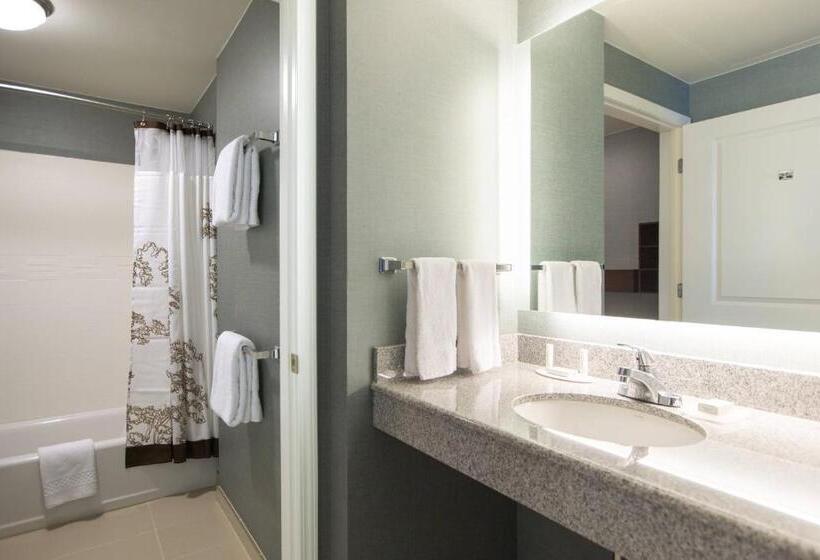 带大床的套房, Residence Inn By Marriott Nashville Vanderbilt/west End