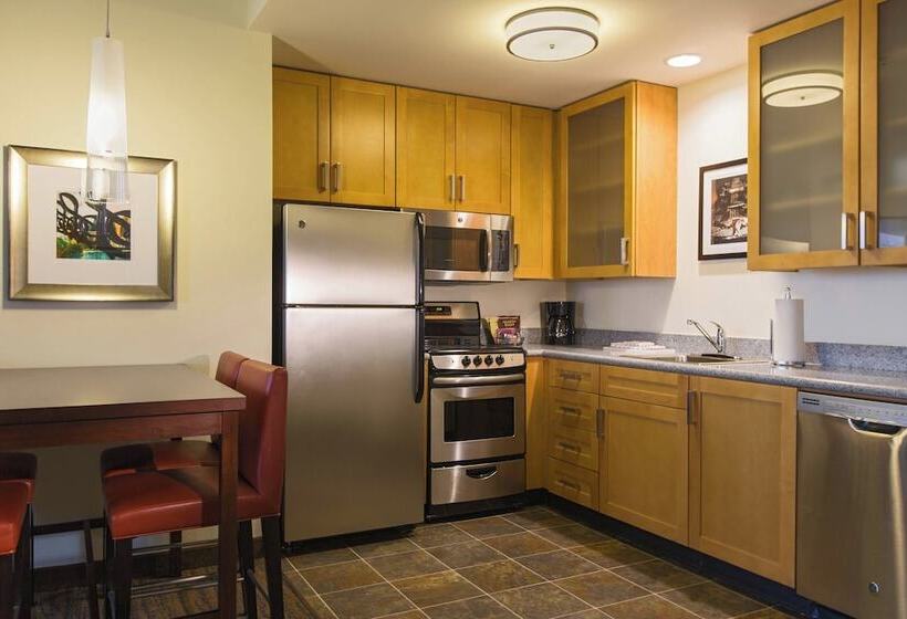 带2个卧室的套房, Residence Inn By Marriott Nashville Vanderbilt/west End