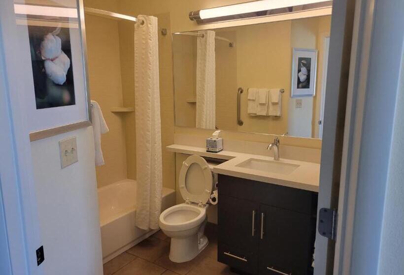 带大床的套房, Candlewood Suites Smyrna   Nashville , An Ihg