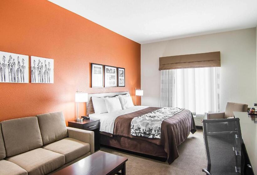 Люкс Кровать Кинг, Sleep Inn Lufkin
