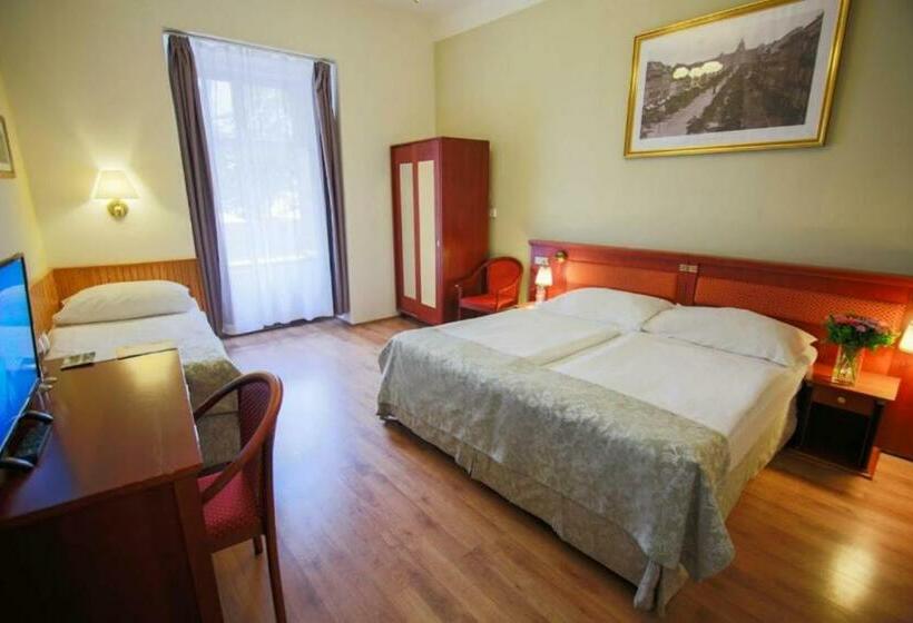 آپارتمان 2 خوابه, Wenceslas Square Hotel   Czech Leading Hotels