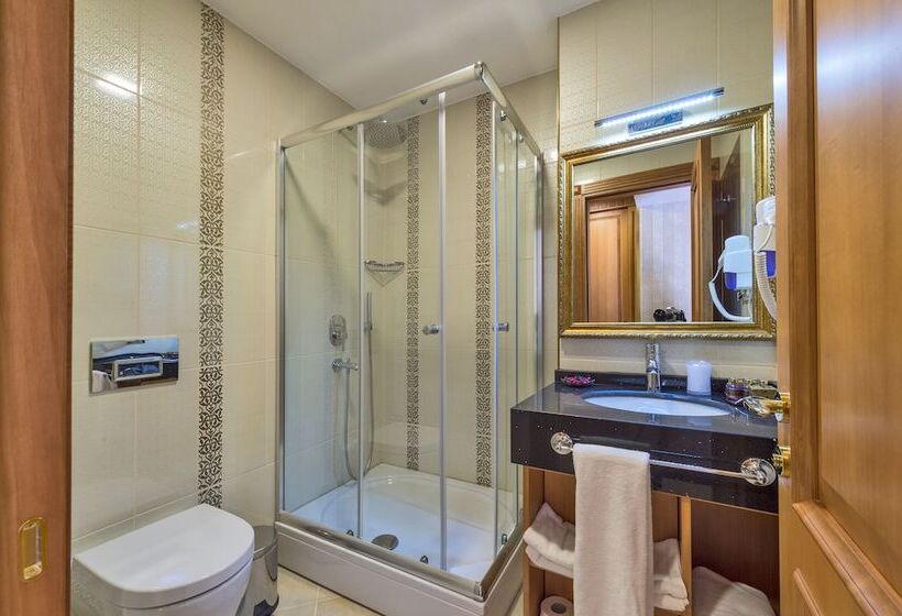اتاق استاندارد, Aprilis Gold Hotel   Special Category