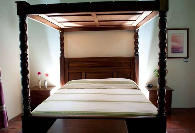اتاق سوپریور, Boutique Hacienda Del Gobernador