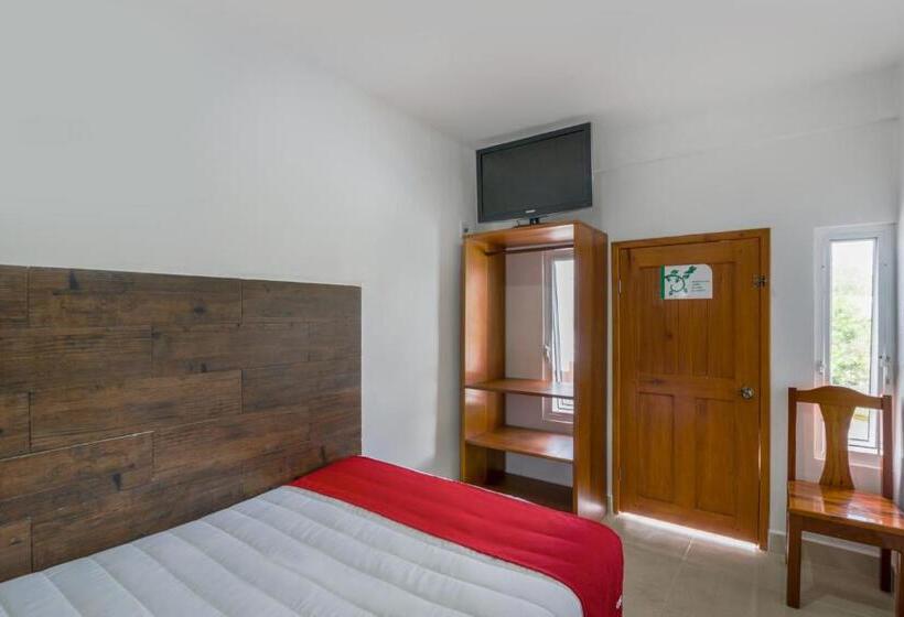 Quarto Estandar, OYO Hotel Palma Real