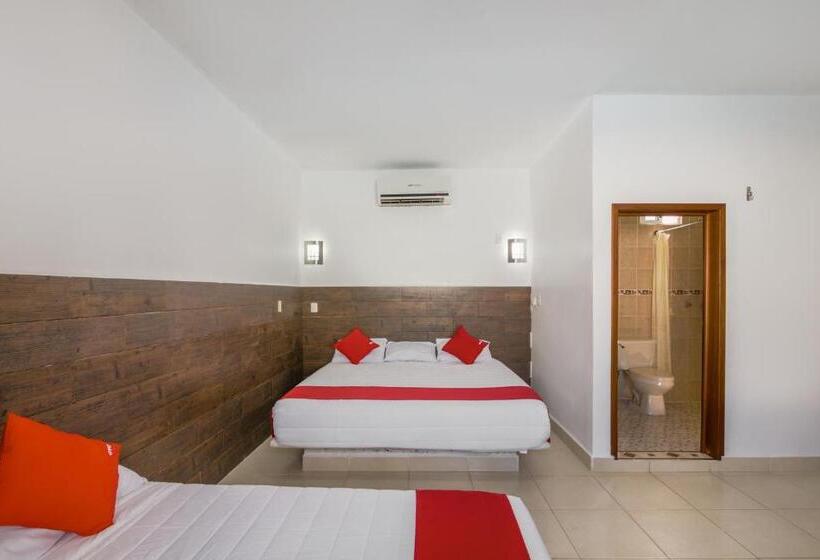 Quarto Estandar, OYO Hotel Palma Real