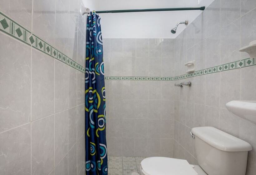 스탠다드 룸, OYO Hotel Palma Real