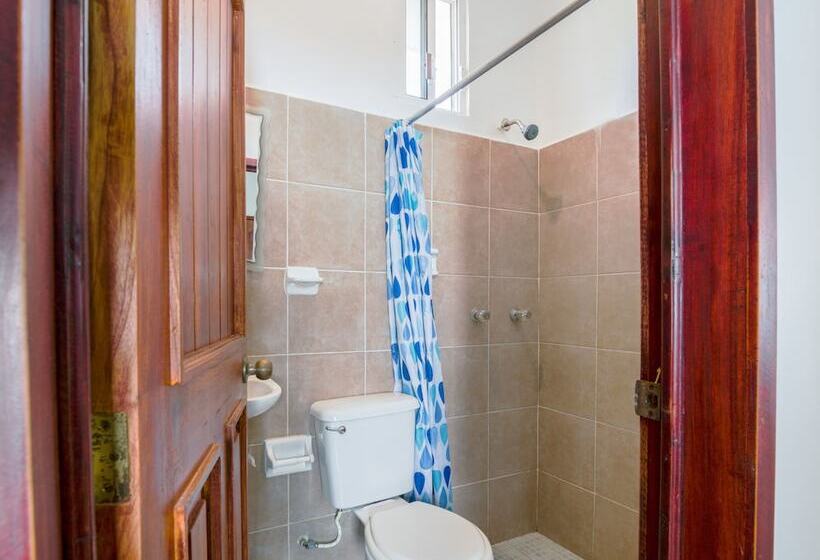 Quarto Individual Basic, OYO Hotel Palma Real