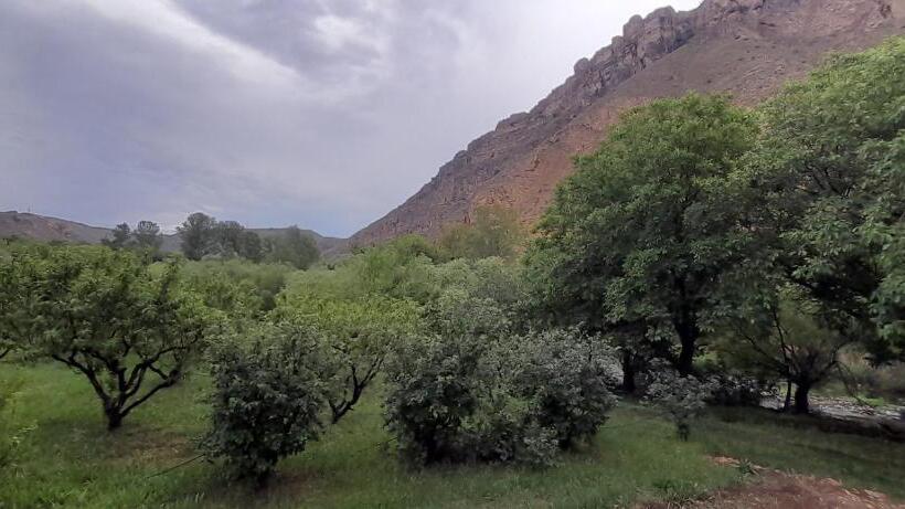 اتاق اکونومی, Areni Lodge