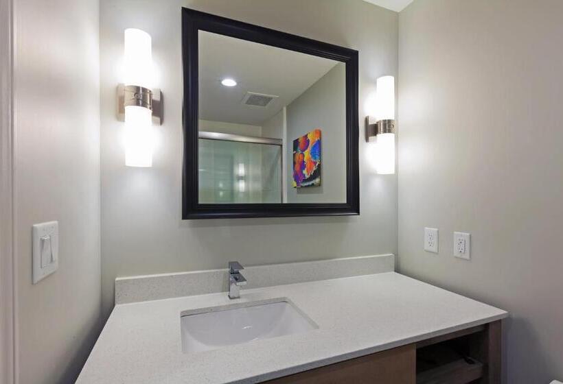 Chambre Standard Lit King Size, Holiday Inn Houston Ne Bush Airport Area, An Ihg