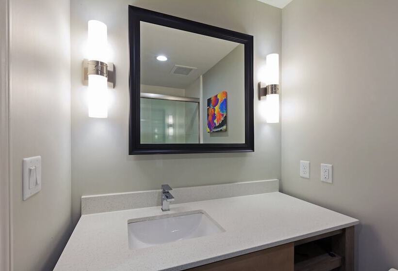 Chambre Standard Adaptée aux Personnes à Mobilité Réduite, Holiday Inn Houston Ne Bush Airport Area, An Ihg