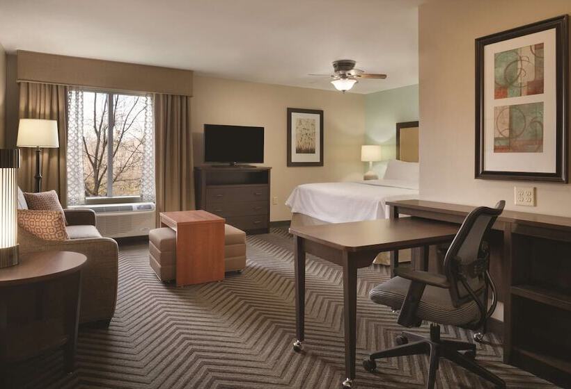 استودیو استاندارد با تخت کینگ, Homewood Suites By Hilton Kalamazooportage