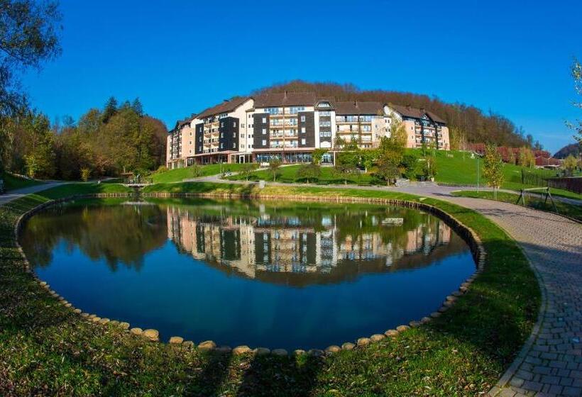 آپارتمان 1 خوابه, Terme Olimia   Aparthotel Rosa