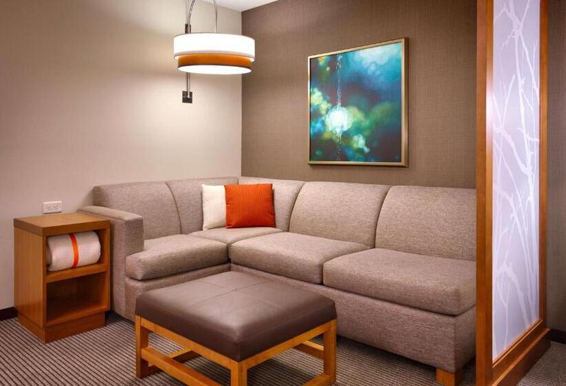 Стандартный Номер Кровать Кинг, Hyatt Place Salt Lake City/lehi