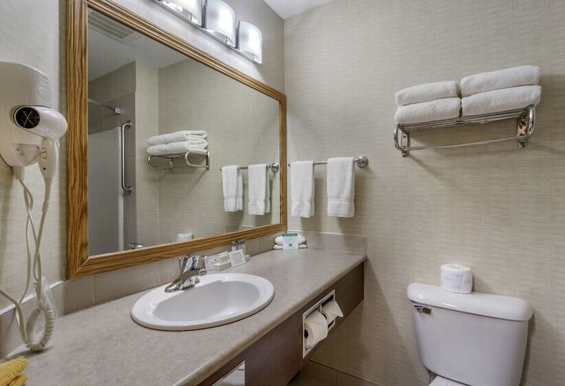 带2个双人床的标准工作室, Devonian Hotel And Suites