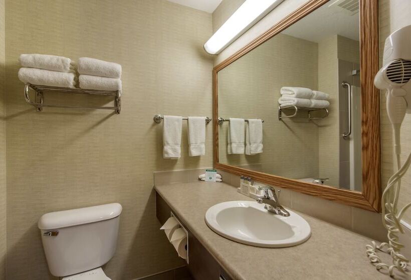 标准间, Devonian Hotel And Suites