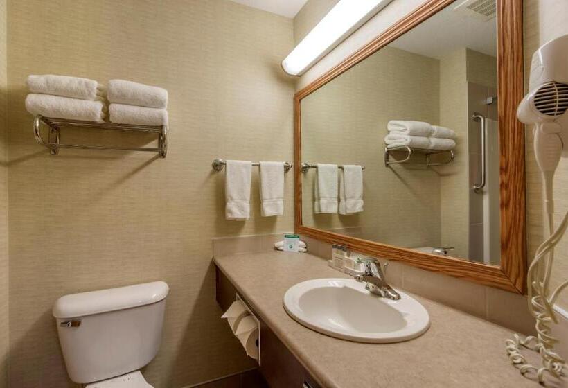 带大床的套房, Devonian Hotel And Suites