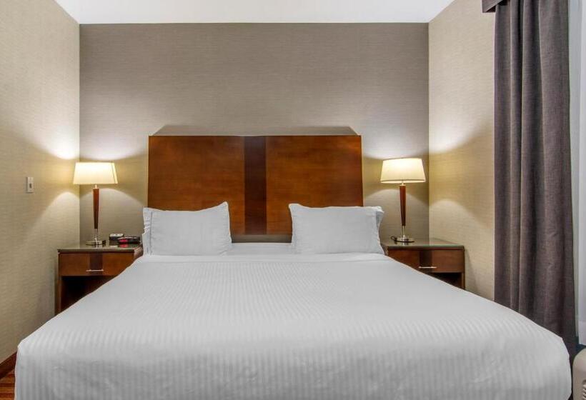带大床的套房, Devonian Hotel And Suites