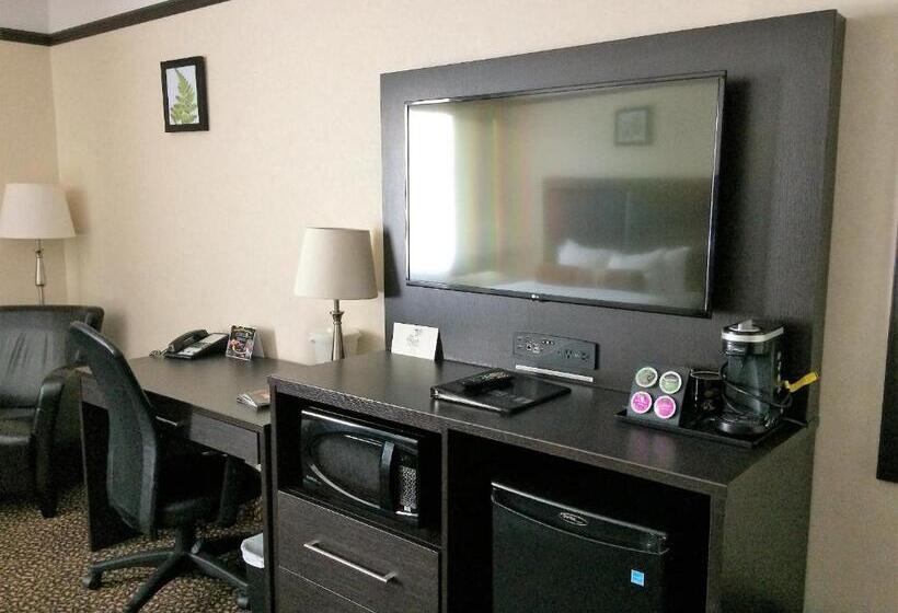 一楼标准间, L Escale Hôtel Suites