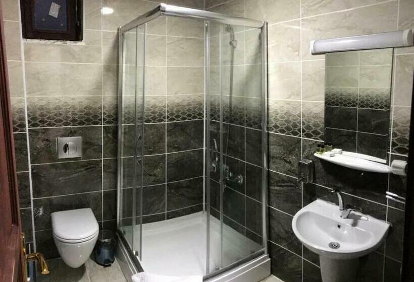 Номер Economy, Savsat Kosk Otel