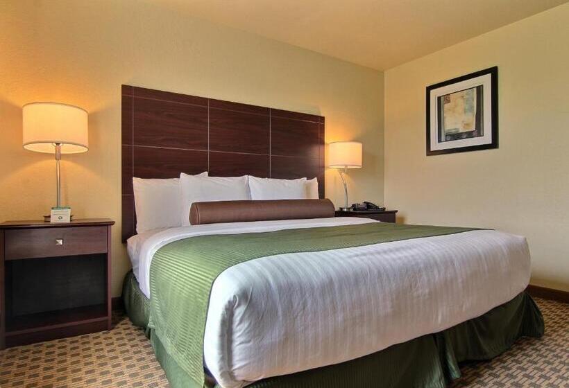 장애인을 위한 킹사이즈 침대 스탠다드 룸, Cobblestone Inn & Suites  Linton