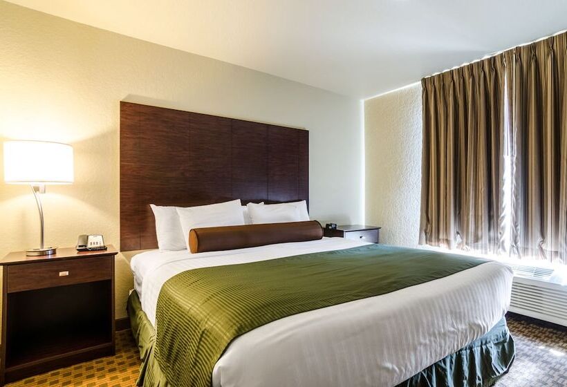 장애인을 위한 킹사이즈 침대 스탠다드 룸, Cobblestone Inn & Suites  Linton