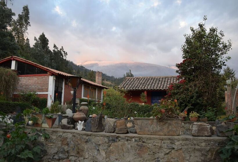 اتاق استاندارد یک نفره, La Casita De Mi Abuela