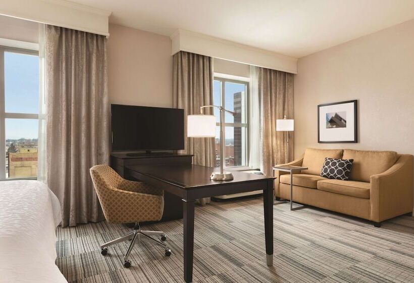 Студия Стандарт Двуспальная Кровать, Hampton Inn & Suites Roanokedowntown