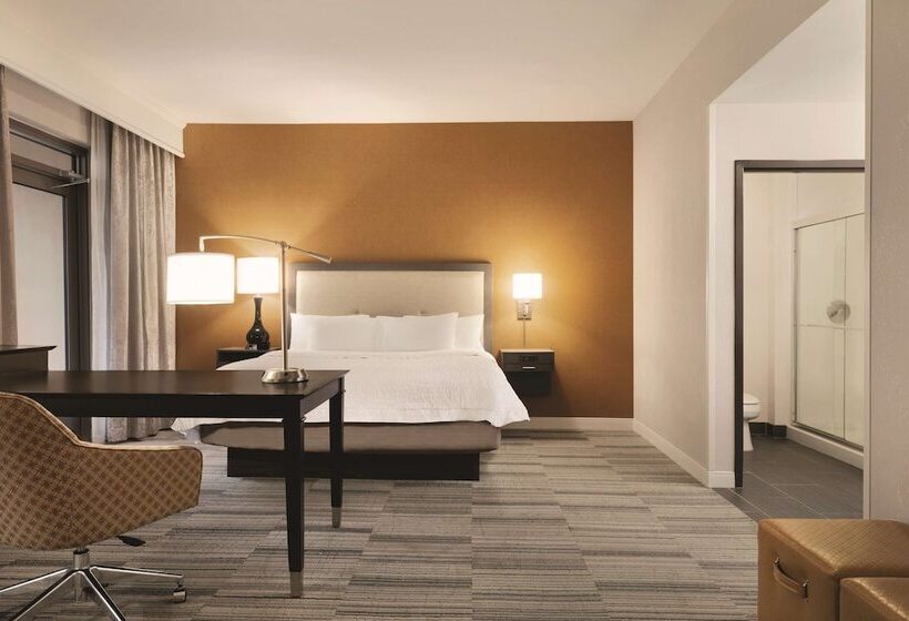 Студия Стандарт Двуспальная Кровать, Hampton Inn & Suites Roanokedowntown