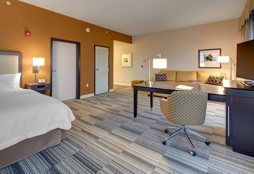 Студия Стандарт Двуспальная Кровать, Hampton Inn & Suites Roanokedowntown
