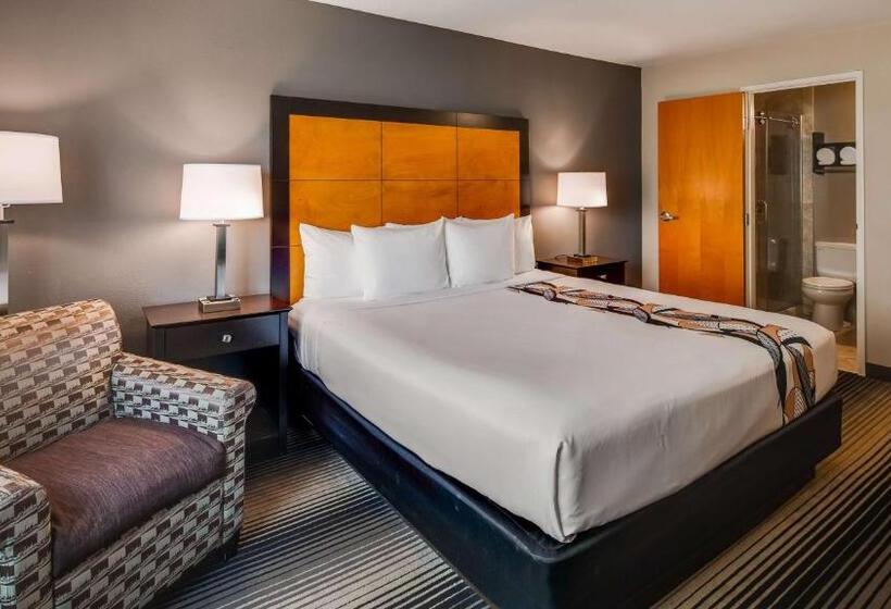 חדר סטנדרט עם מיטת קינג, Best Western Plus Hyde Park Chicago