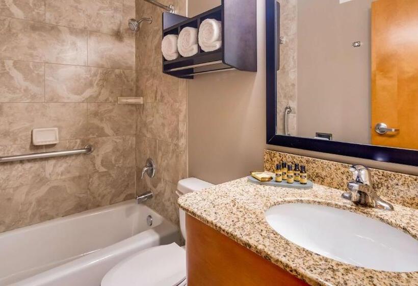 חדר סטנדרט נוף לאגם, Best Western Plus Hyde Park Chicago