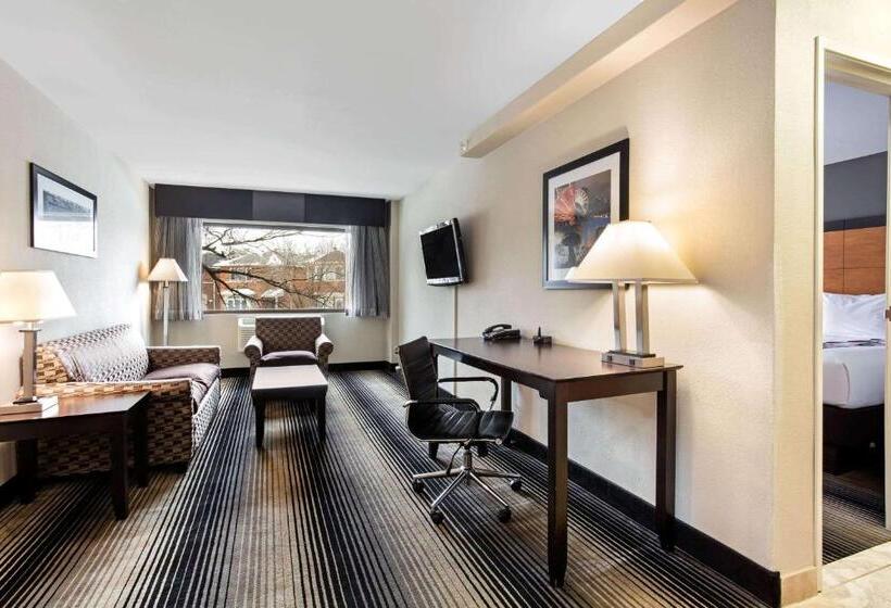 סוויטה, Best Western Plus Hyde Park Chicago