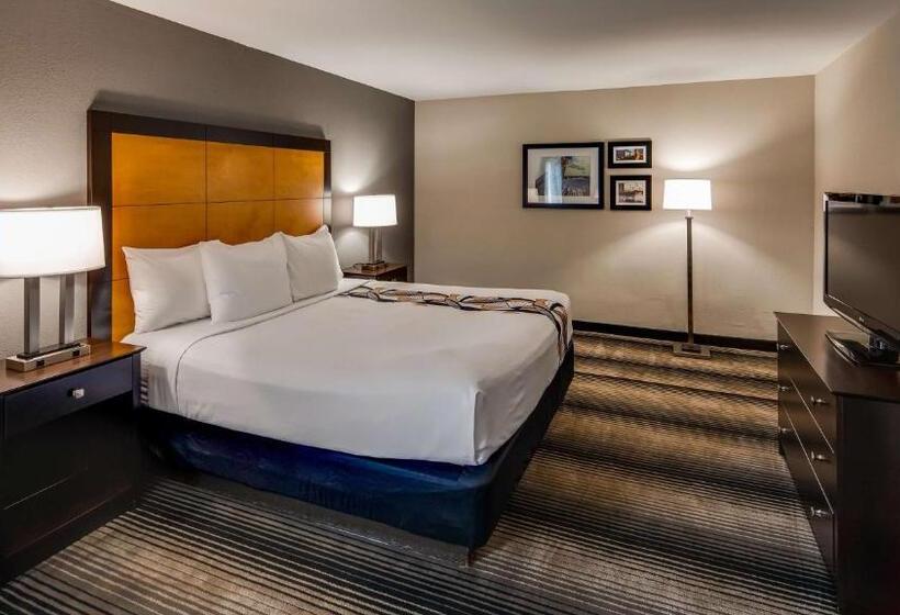 חדר אקזקיוטיב חדר קינג, Best Western Plus Hyde Park Chicago