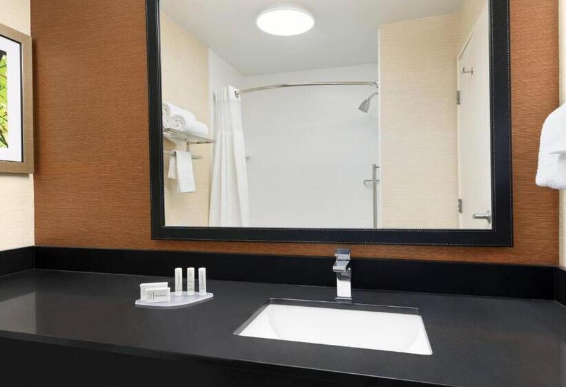 Номер Стандарт, Fairfield Inn By Marriott Deptford