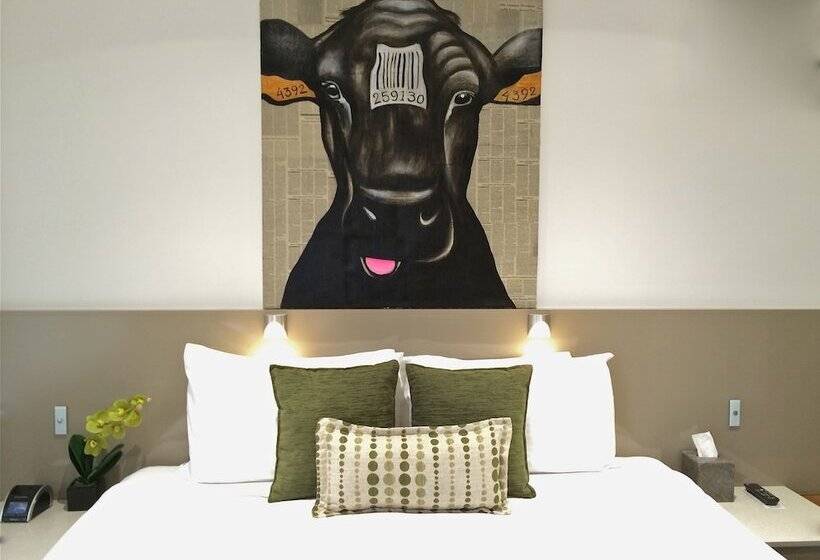 스탠다드 스튜디오, North Adelaide Boutique Stays Accommodation