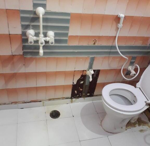 豪华房间, Raj